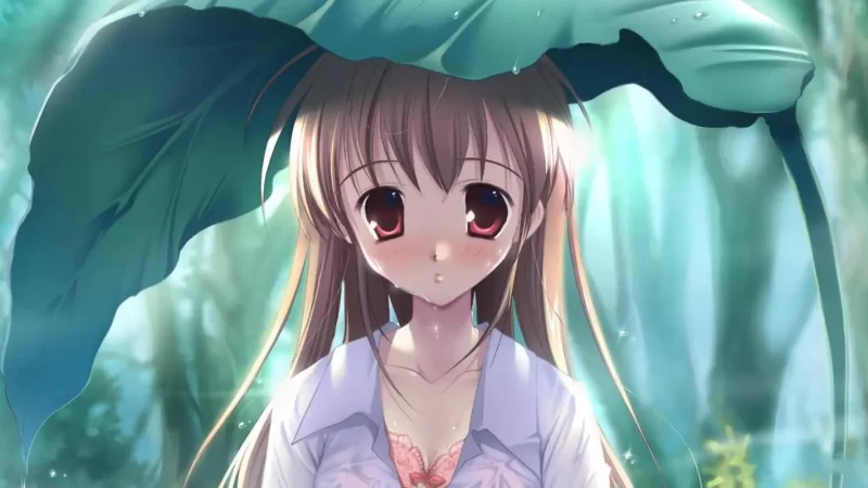 多多撸金：落地项目傻瓜式配合软件半自动日入2000+网赚项目-副业赚钱-互联网创业-资源整合BMpAI